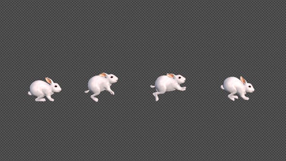 White Rabbit Jumping - Download Videohive 22184507