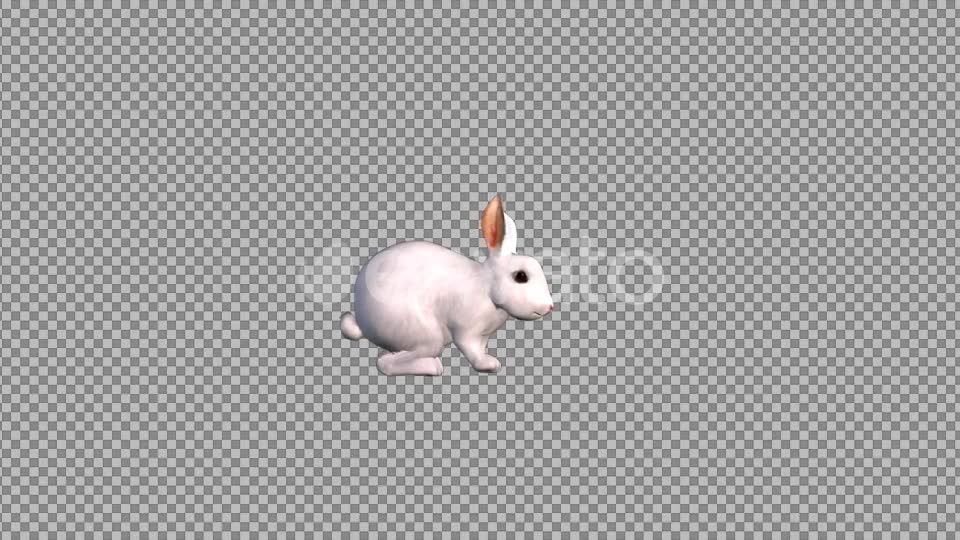 White Rabbit Videohive 22183903 Motion Graphics Image 2
