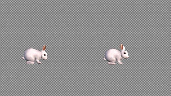 White Rabbit - Videohive Download 22183903