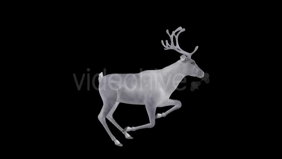 White Reindeer Jump Run Loop Right Side View Videohive 18550457 Motion Graphics Image 1