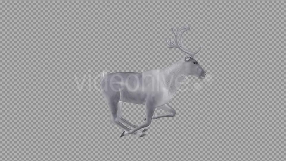 White Reindeer Jump Run Loop Right Side View Videohive 18550457 Motion Graphics Image 2