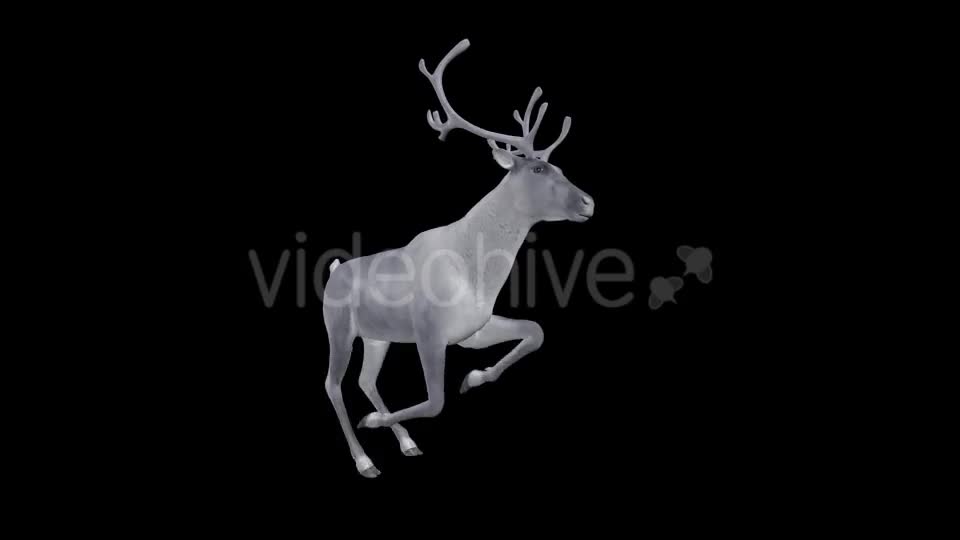 White Reindeer Jump Run Loop Side Angle View Videohive 18550493 Motion Graphics Image 1