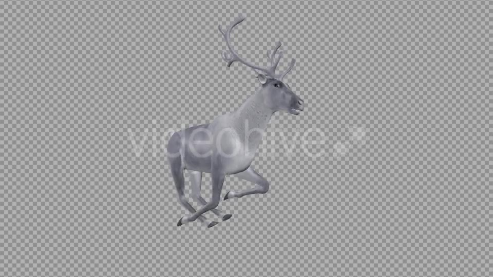 White Reindeer Jump Run Loop Side Angle View Videohive 18550493 Motion Graphics Image 2