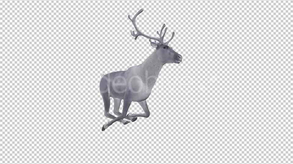 White Reindeer Jump Run Loop Side Angle View Videohive 18550493 Motion Graphics Image 3
