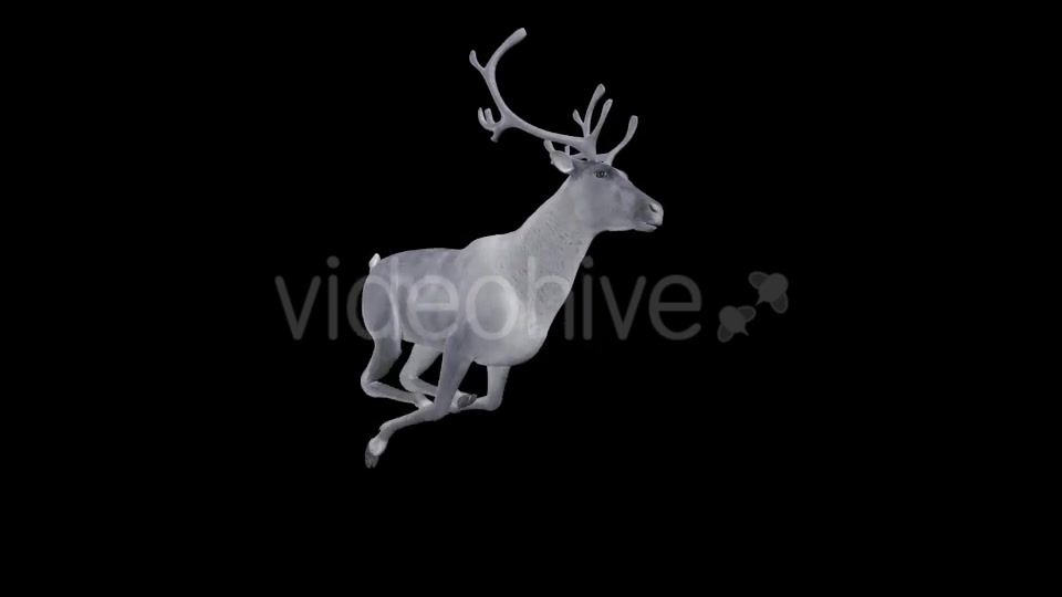 White Reindeer Jump Run Loop Side Angle View Videohive 18550493 Motion Graphics Image 4