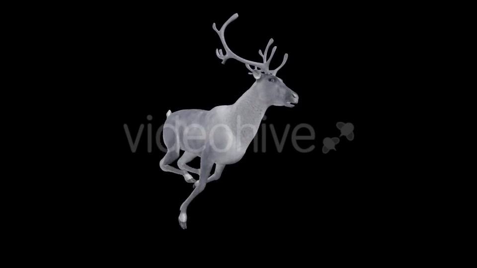 White Reindeer Jump Run Loop Side Angle View Videohive 18550493 Motion Graphics Image 5