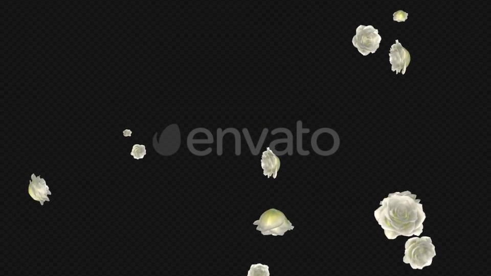 White Rose Trail Pack of 5 Videohive 21653704 Motion Graphics Image 11