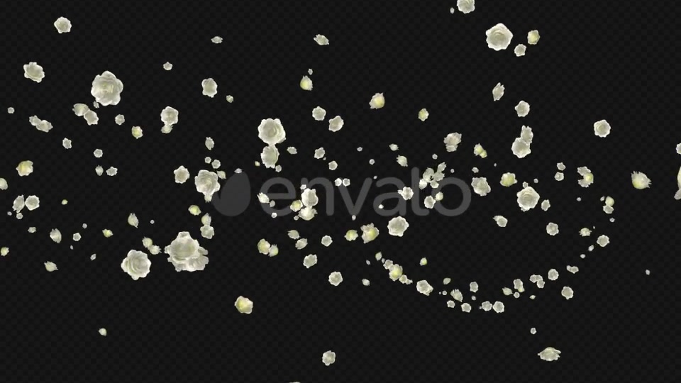 White Rose Trail Pack of 5 Videohive 21653704 Motion Graphics Image 6