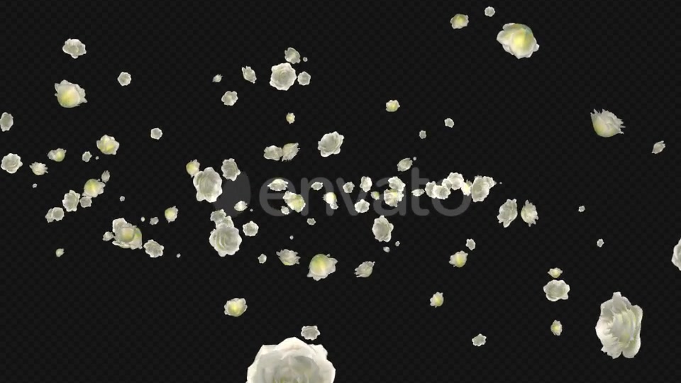 White Rose Trail Pack of 5 Videohive 21653704 Motion Graphics Image 8