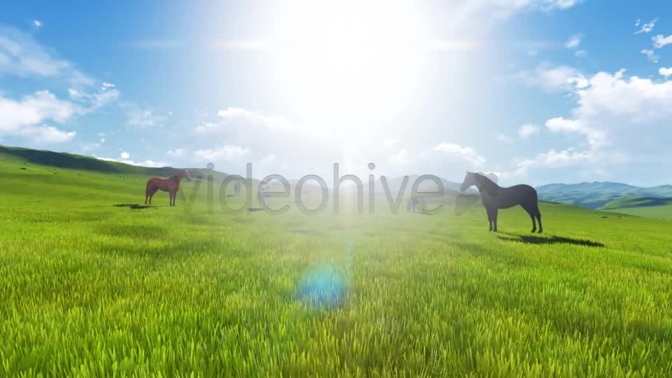 Wild Horses Videohive 7975473 Motion Graphics Image 4