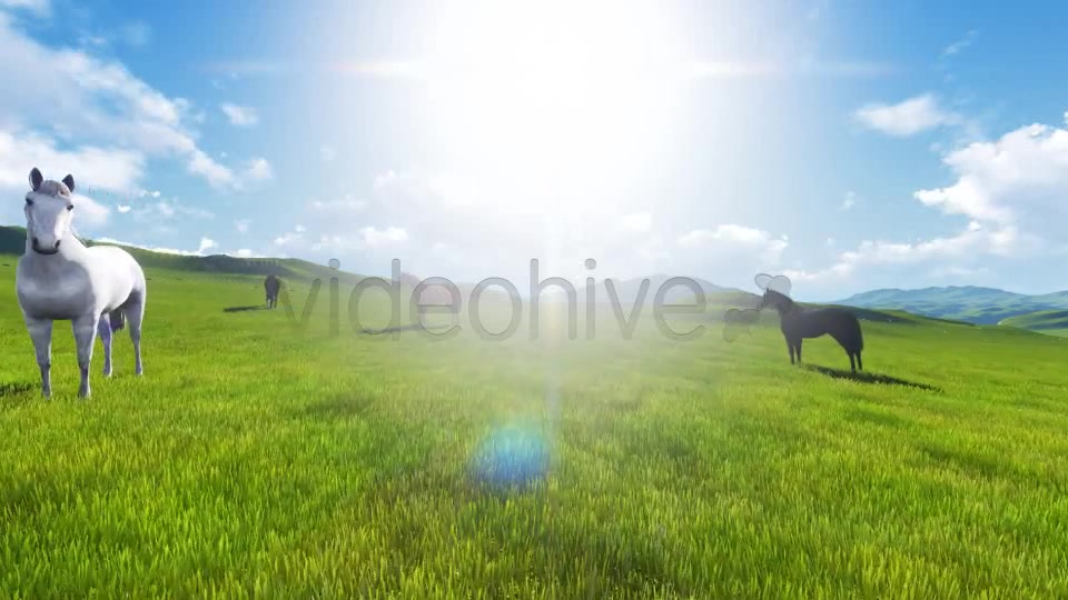 Wild Horses Videohive 7975473 Motion Graphics Image 6