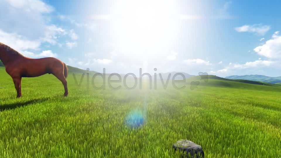 Wild Horses Videohive 7975473 Motion Graphics Image 8