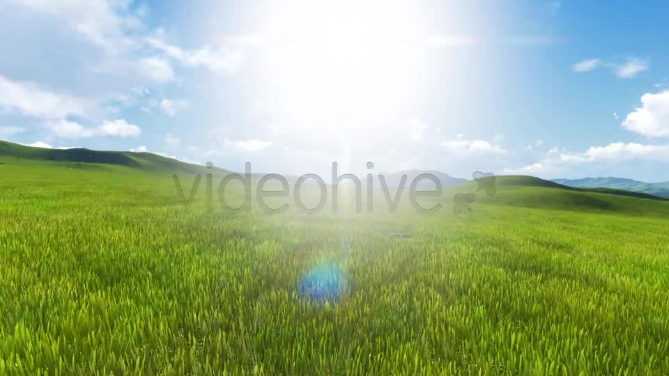 Wild Horses Videohive 7975473 Motion Graphics Image 9