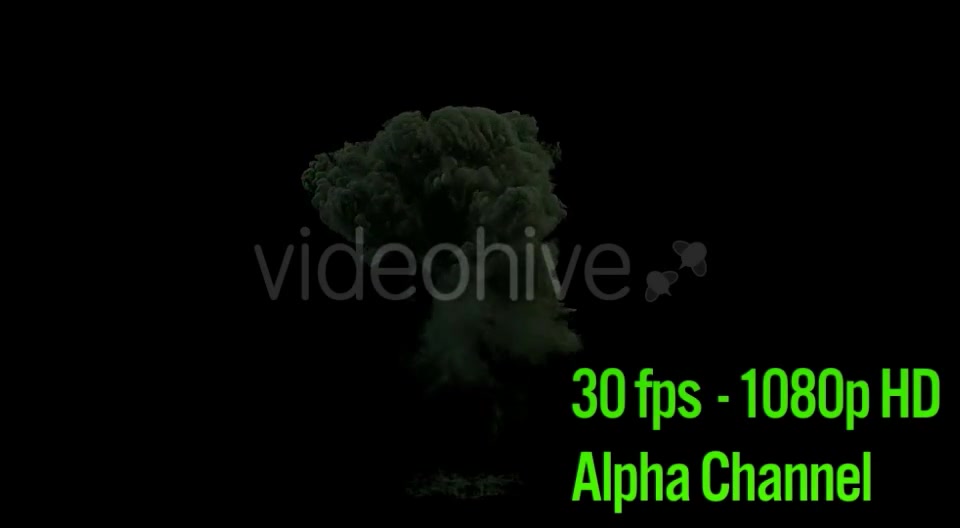 Wildfire Explosion Videohive 14814820 Motion Graphics Image 3