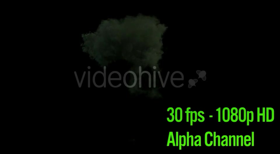 Wildfire Explosion Videohive 14814820 Motion Graphics Image 4
