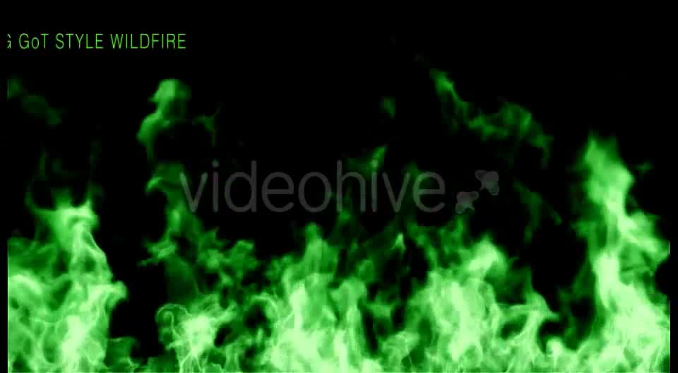 Wildfire Videohive 15627604 Motion Graphics Image 1