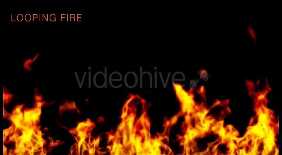 Wildfire Videohive 15627604 Motion Graphics Image 5
