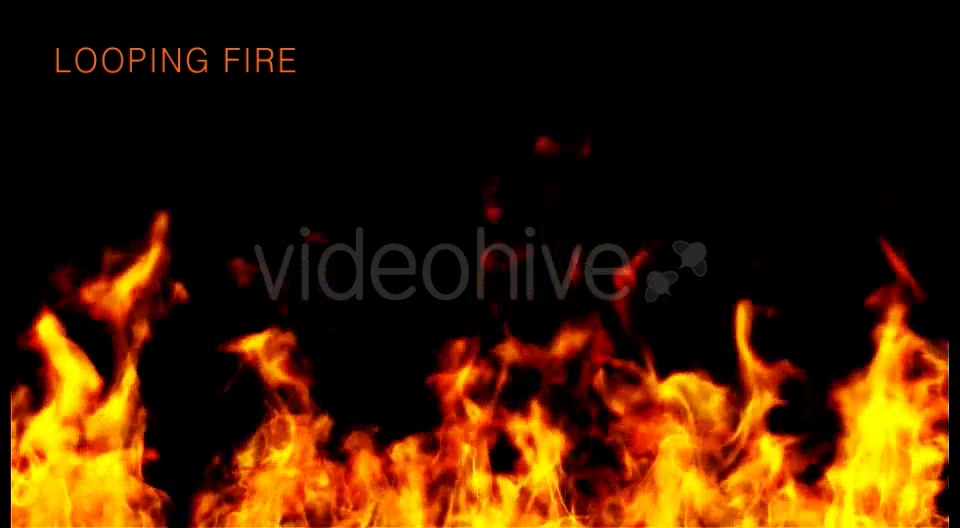 Wildfire Videohive 15627604 Motion Graphics Image 6
