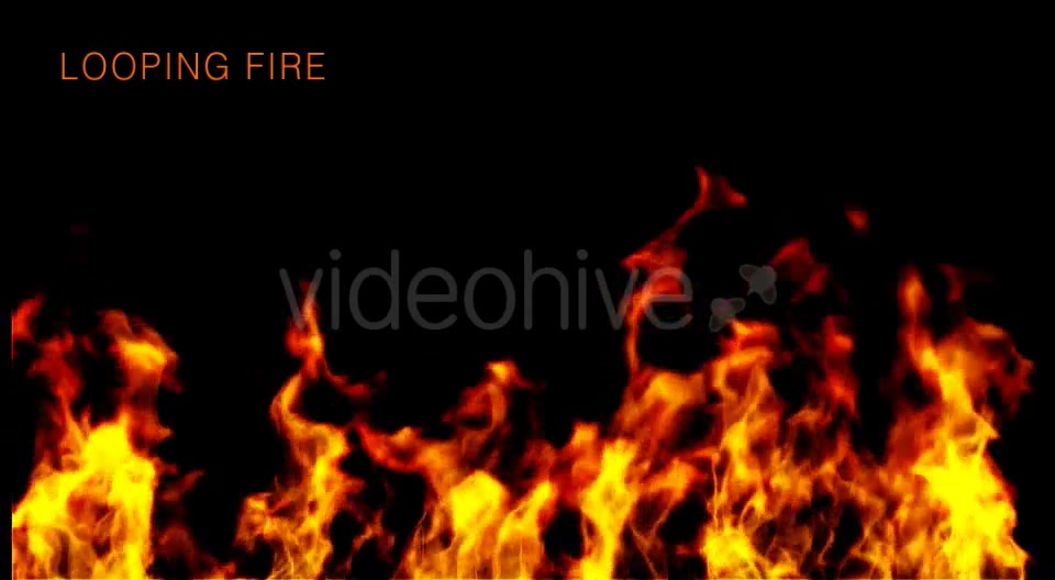 Wildfire Videohive 15627604 Motion Graphics Image 7