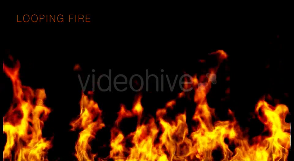 Wildfire Videohive 15627604 Motion Graphics Image 8