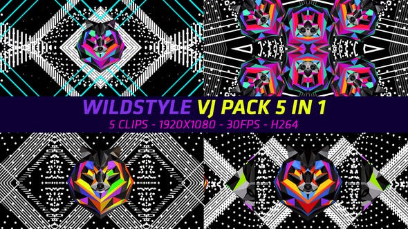 Wildstyle Vj Pack 5 in 1 - Videohive Download 22485449