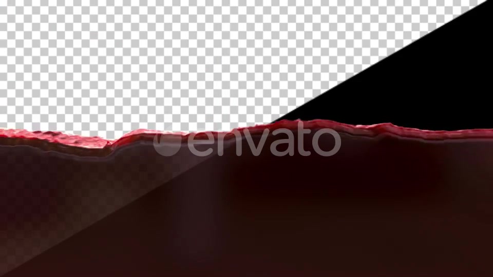 Wine Fill Videohive 24943477 Motion Graphics Image 7