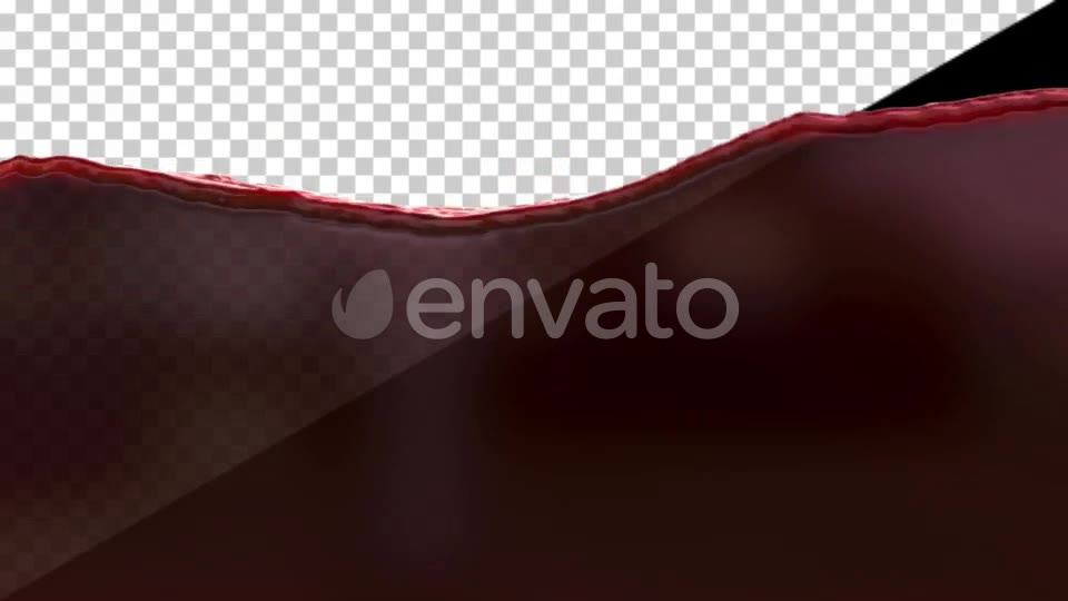 Wine Fill Videohive 24943477 Motion Graphics Image 9