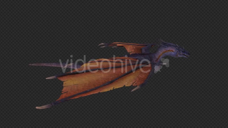 Wing Dragon Fly And Fire And Bite Pack 6 In 1 Videohive 19850328 Motion Graphics Image 1