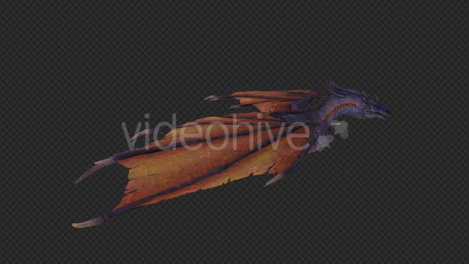 Wing Dragon Fly And Fire And Bite Pack 6 In 1 Videohive 19850328 Motion Graphics Image 2