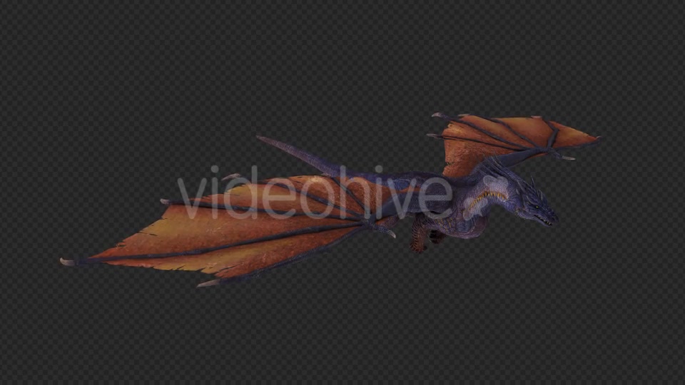 Wing Dragon Fly And Fire And Bite Pack 6 In 1 Videohive 19850328 Motion Graphics Image 3