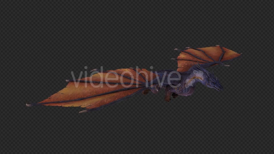 Wing Dragon Fly And Fire And Bite Pack 6 In 1 Videohive 19850328 Motion Graphics Image 4