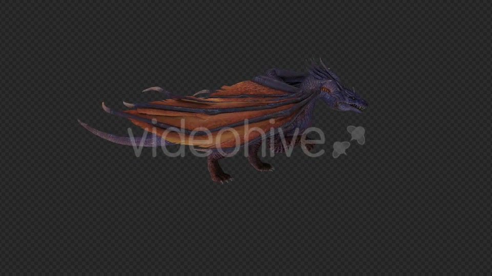Wing Dragon Fly And Fire And Bite Pack 6 In 1 Videohive 19850328 Motion Graphics Image 5