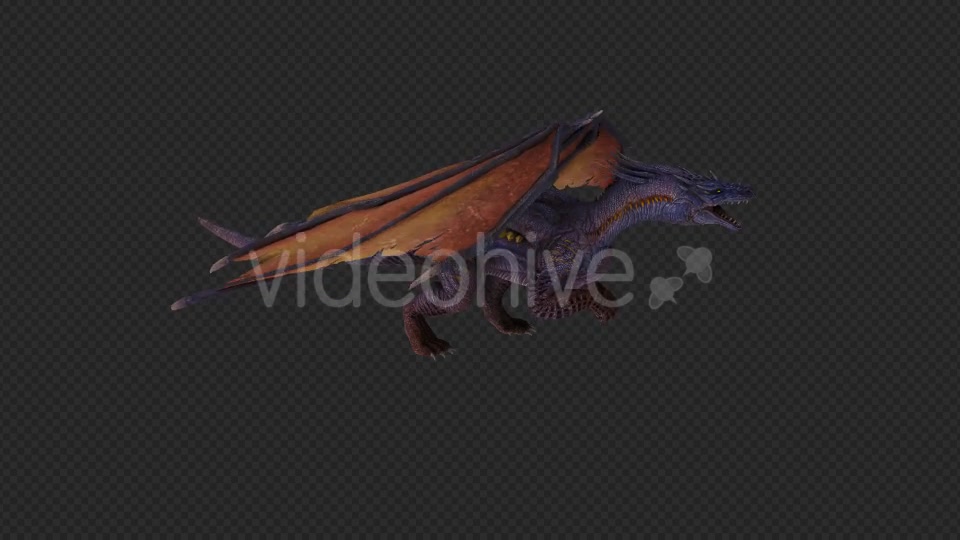 Wing Dragon Fly And Fire And Bite Pack 6 In 1 Videohive 19850328 Motion Graphics Image 6