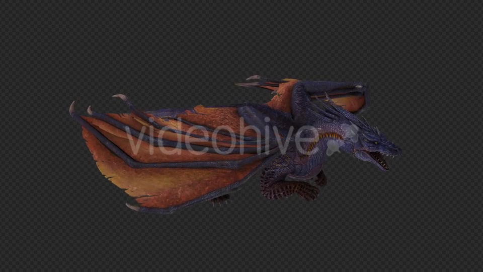 Wing Dragon Fly And Fire And Bite Pack 6 In 1 Videohive 19850328 Motion Graphics Image 7