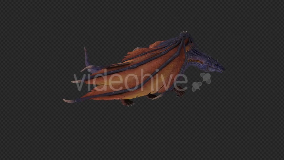 Wing Dragon Fly And Fire And Bite Pack 6 In 1 Videohive 19850328 Motion Graphics Image 9