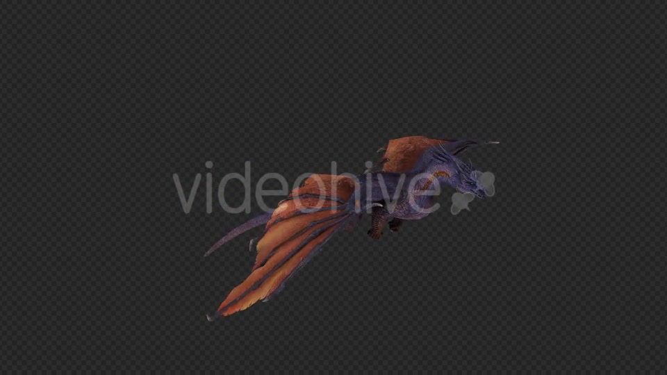 Wing Dragon Fly Pack 4 In 1 Videohive 19849948 Motion Graphics Image 10