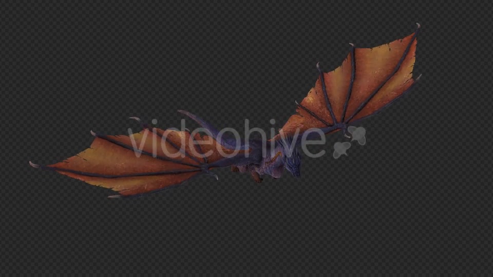 Wing Dragon Fly Pack 4 In 1 Videohive 19849948 Motion Graphics Image 11