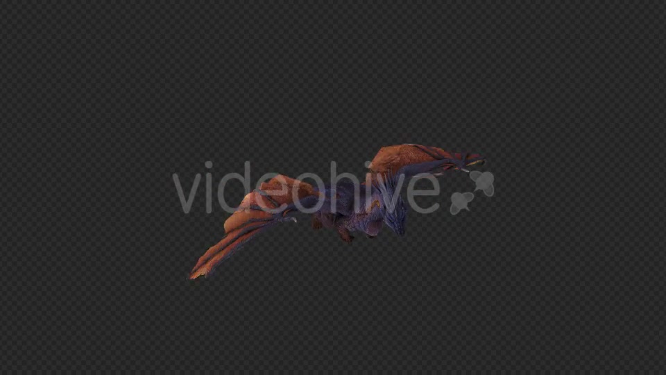 Wing Dragon Fly Pack 4 In 1 Videohive 19849948 Motion Graphics Image 12