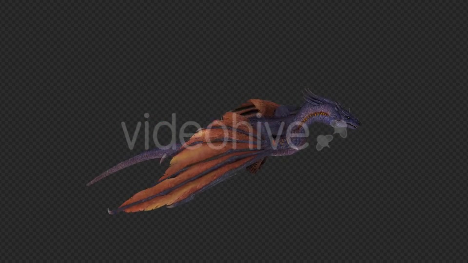 Wing Dragon Fly Pack 4 In 1 Videohive 19849948 Motion Graphics Image 2