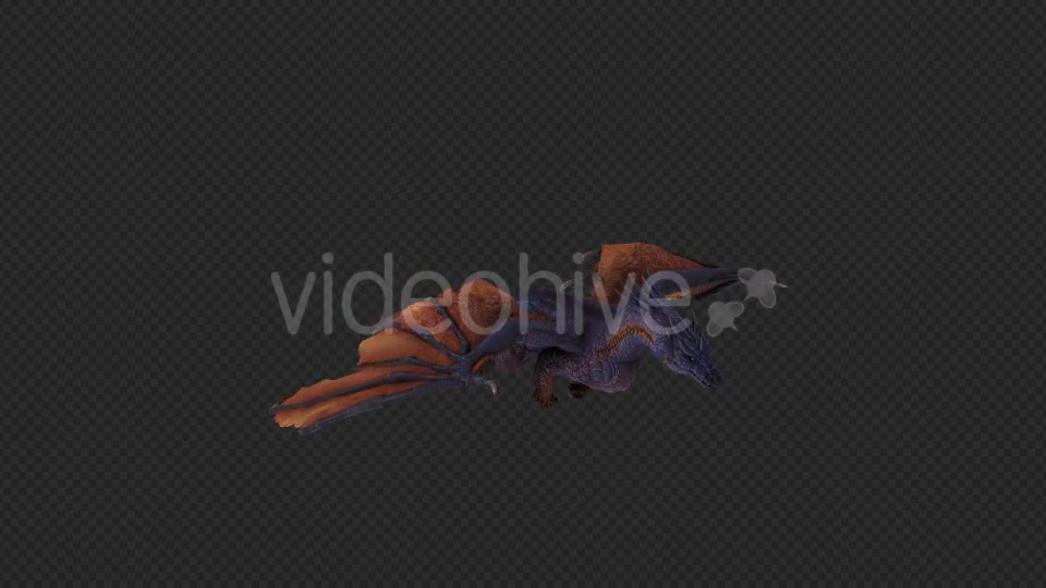 Wing Dragon Fly Pack 4 In 1 Videohive 19849948 Motion Graphics Image 4