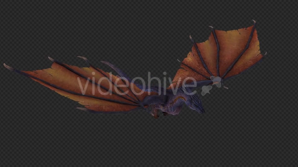 Wing Dragon Fly Pack 4 In 1 Videohive 19849948 Motion Graphics Image 5