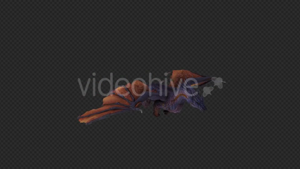 Wing Dragon Fly Pack 4 In 1 Videohive 19849948 Motion Graphics Image 6