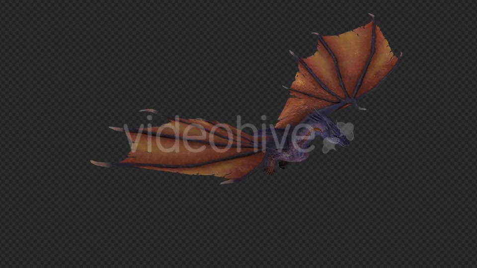 Wing Dragon Fly Pack 4 In 1 Videohive 19849948 Motion Graphics Image 7