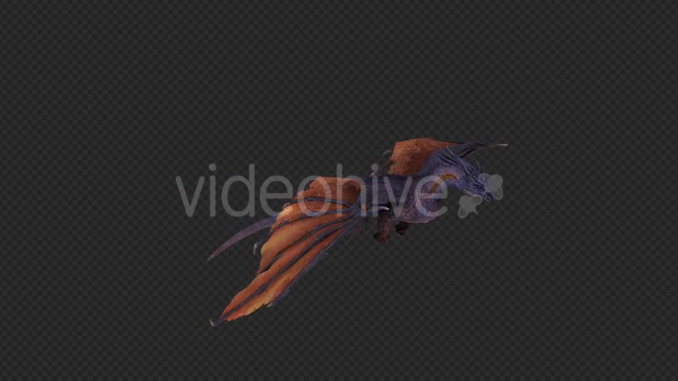 Wing Dragon Fly Pack 4 In 1 Videohive 19849948 Motion Graphics Image 8