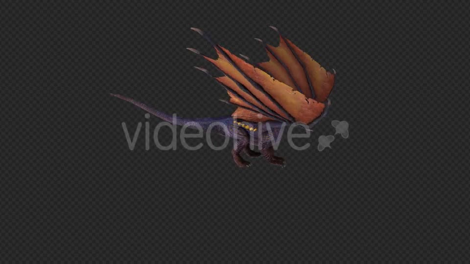 Wing Dragon Take Off And Land And Idle Pack 6 In 1 Videohive 19849964 Motion Graphics Image 1