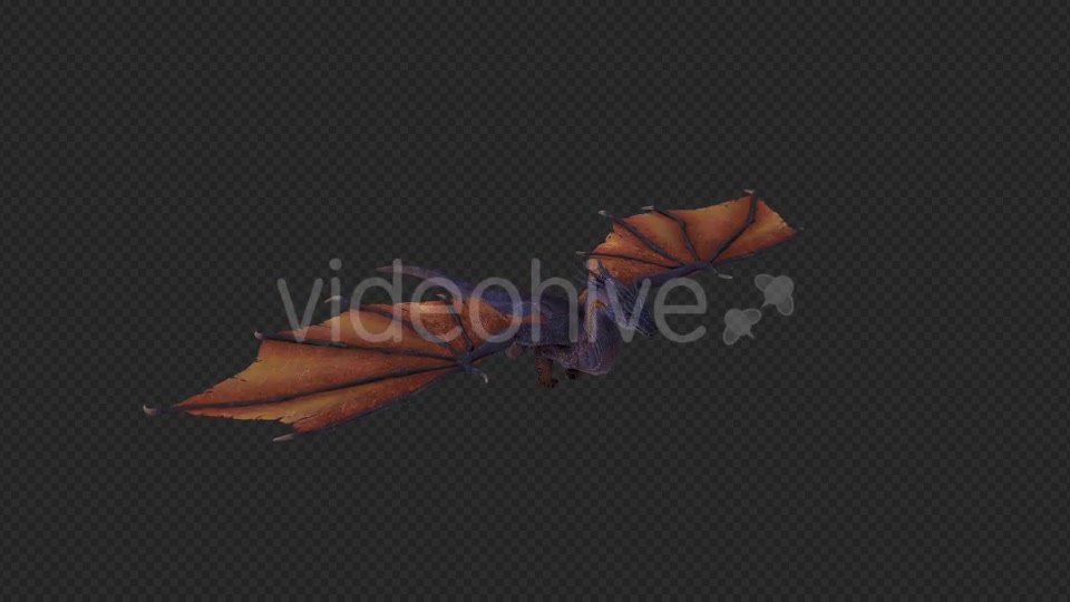 Wing Dragon Take Off And Land And Idle Pack 6 In 1 Videohive 19849964 Motion Graphics Image 4