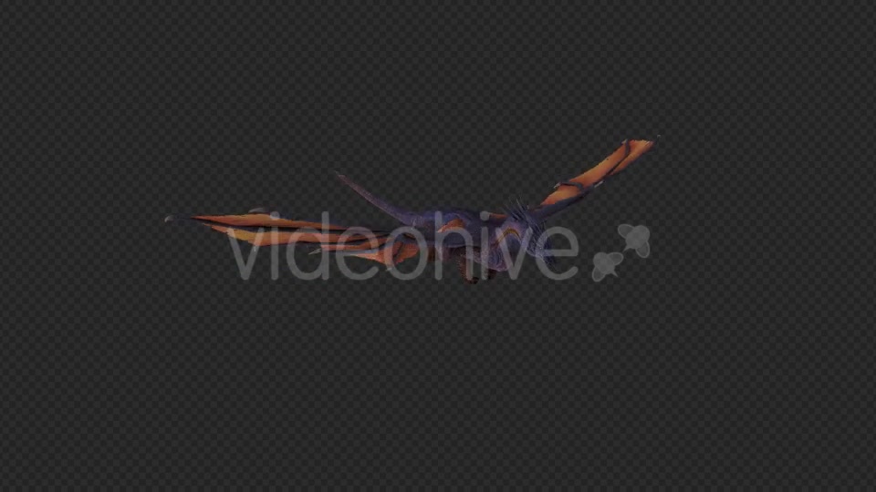 Wing Dragon Take Off And Land And Idle Pack 6 In 1 Videohive 19849964 Motion Graphics Image 6