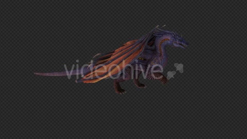 Wing Dragon Take Off And Land And Idle Pack 6 In 1 Videohive 19849964 Motion Graphics Image 8