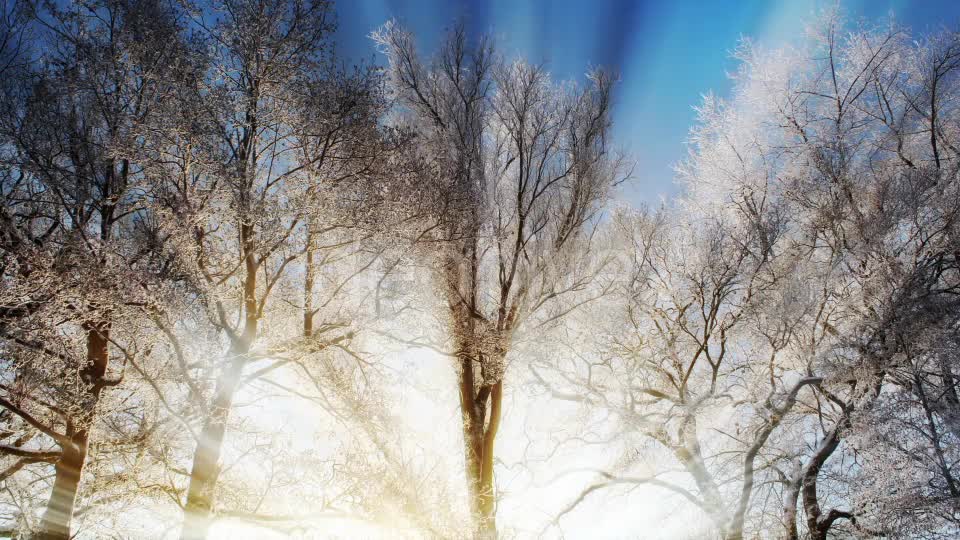 Winter Background Videohive 18354863 Motion Graphics Image 1
