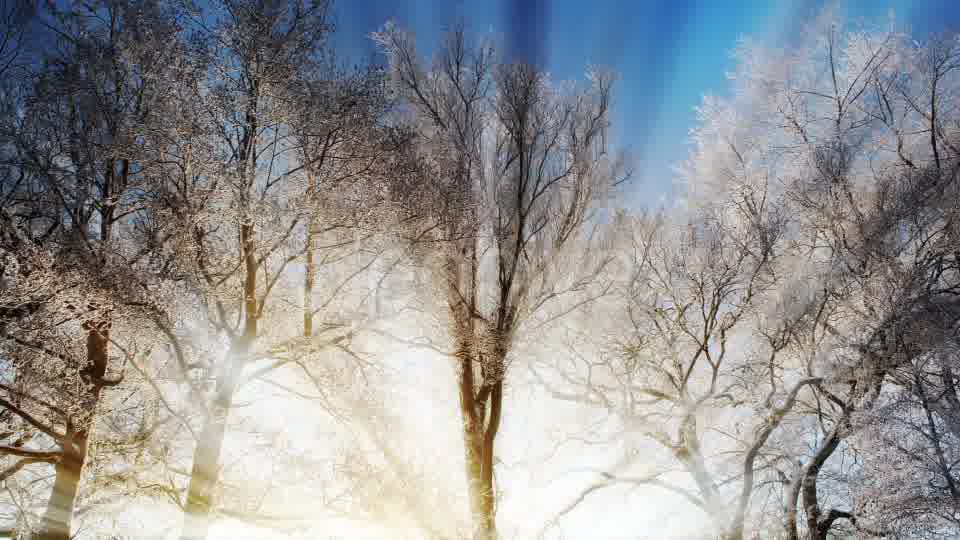 Winter Background Videohive 18354863 Motion Graphics Image 10